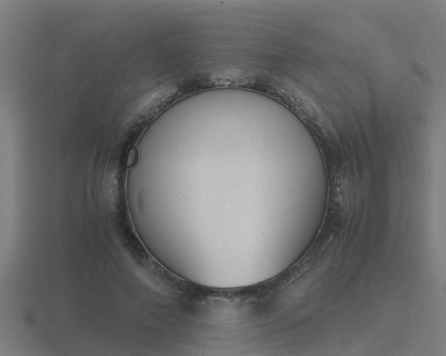 X0000116840690200912241229