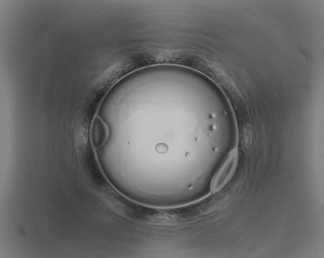 X0000116840691200912241229