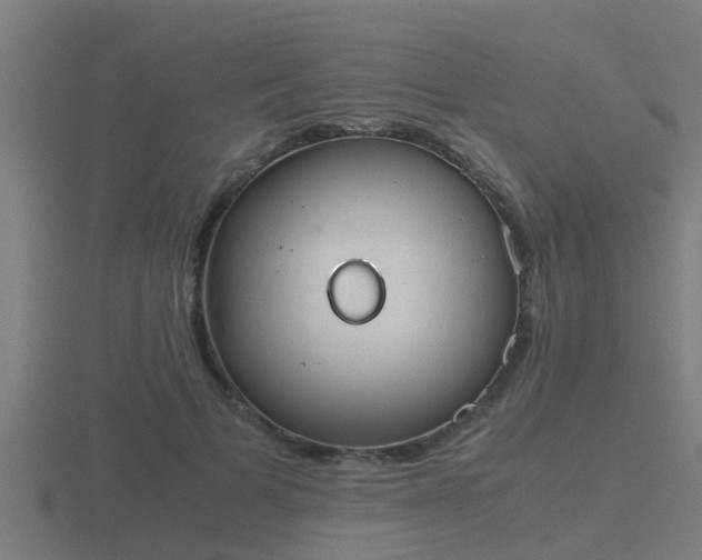 X0000116840697200912241229