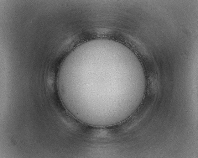 X0000116840698200912241229