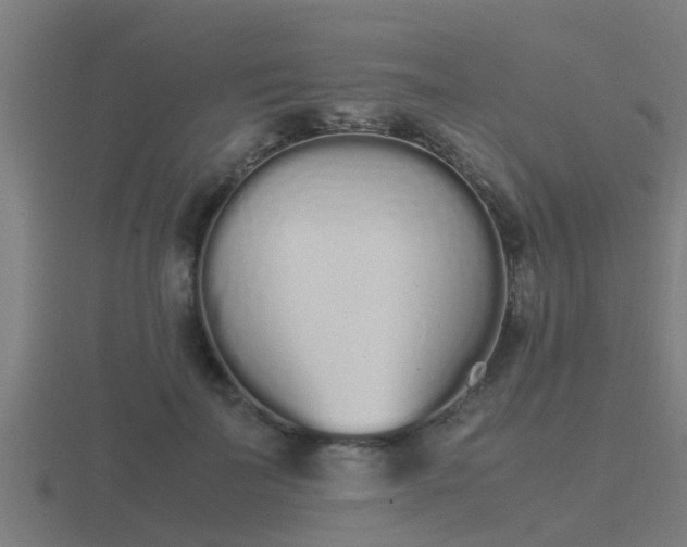 X0000116840699200912241229