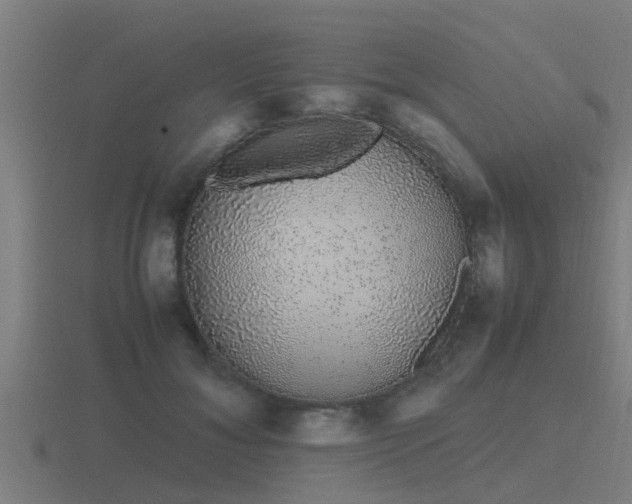 X0000116840700200912241228