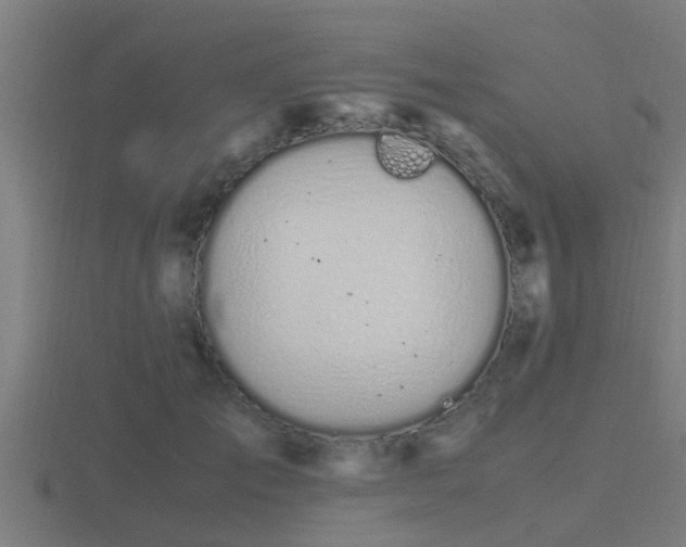 X0000116840701200912241228