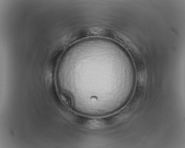 X0000116840703200912241228