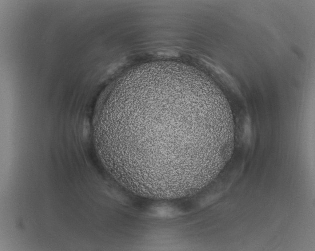 X0000116840704200912241228