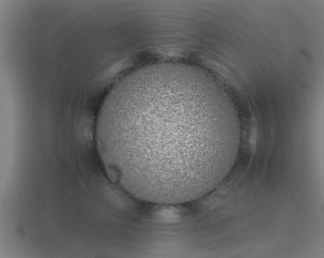 X0000116840710200912241228