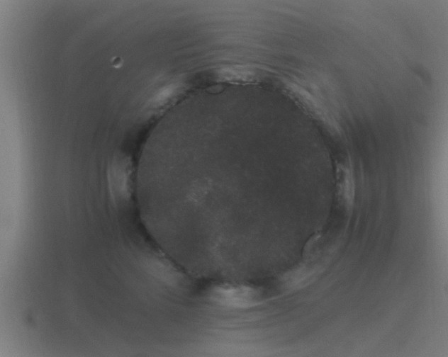 X0000116840712200912241228