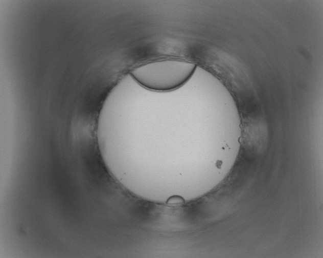 X0000116840713200912241228