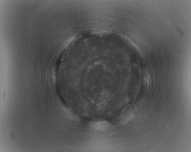 X0000116840716200912241228