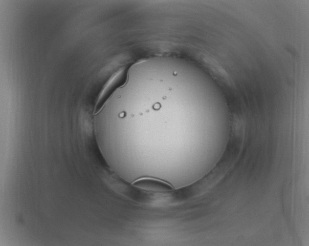 X0000116840719200912241228