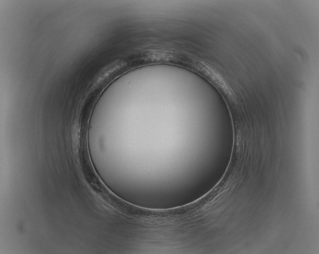 X0000116840722200912241228