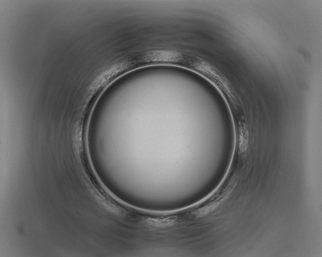 X0000116840725200912241228