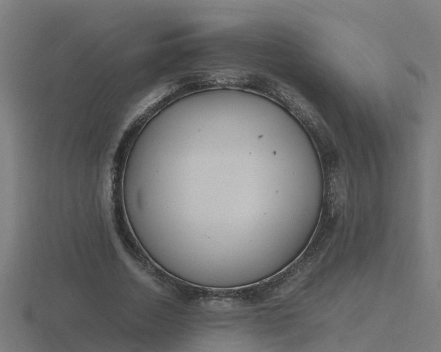 X0000116840730200912241228