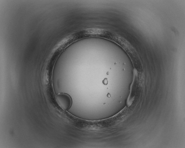 X0000116840731200912241228