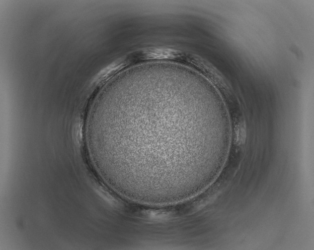 X0000116840733200912241228