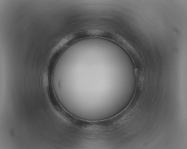 X0000116840734200912241228