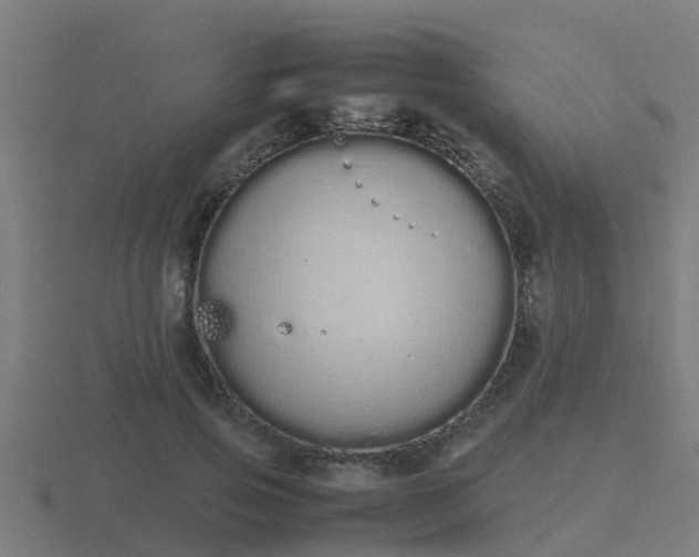 X0000116840741200912241228