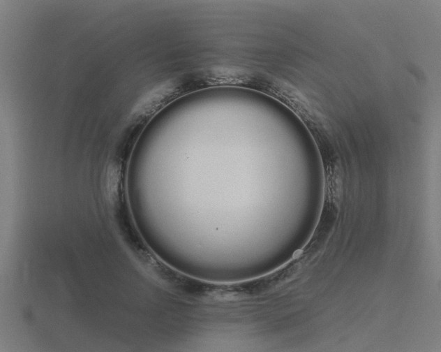 X0000116840742200912241228