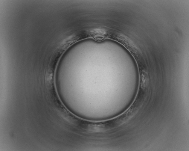 X0000116840745200912241228