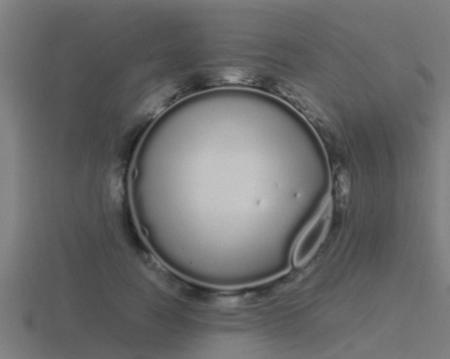 X0000116840746200912241228