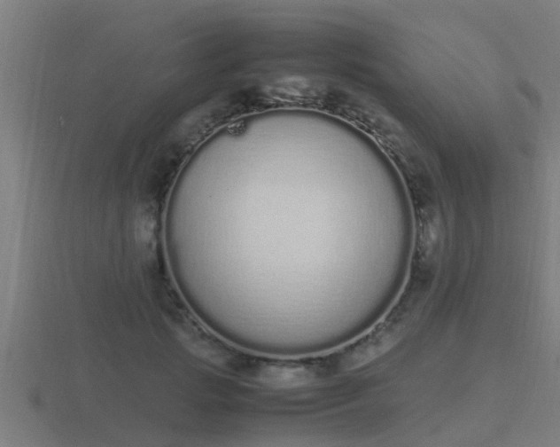 X0000116840749200912241228