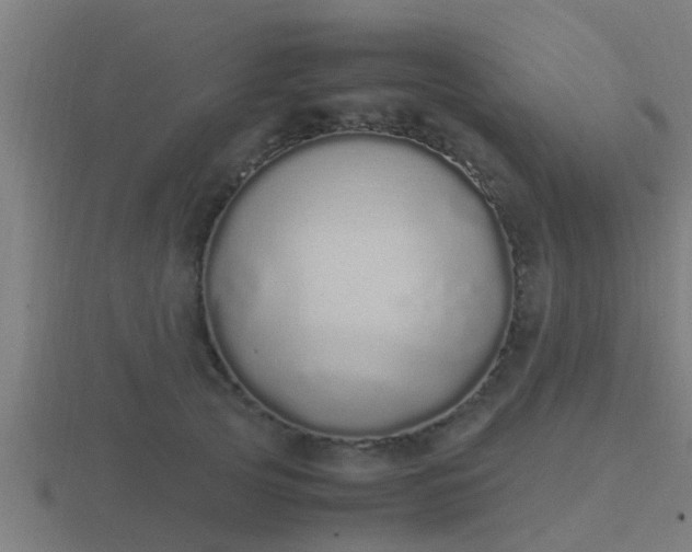 X0000116840753200912241228