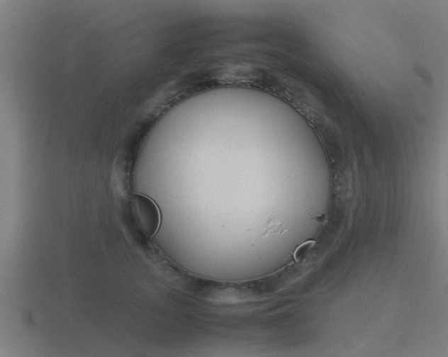 X0000116840755200912241228