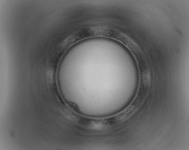 X0000116840757200912241228