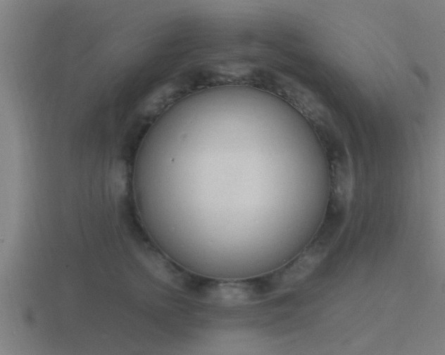 X0000116840758200912241228