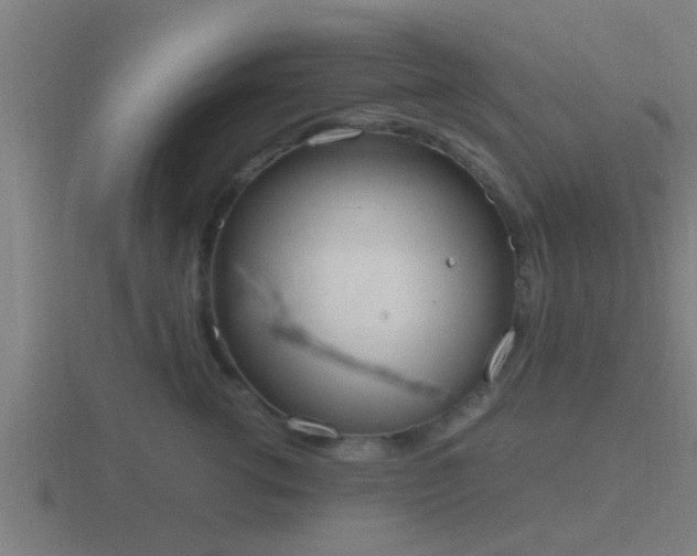 X0000116840762200912241228