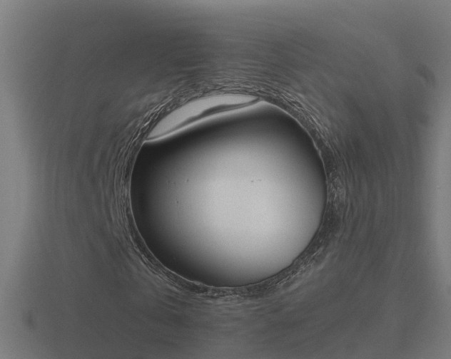 X0000116840769200912241228