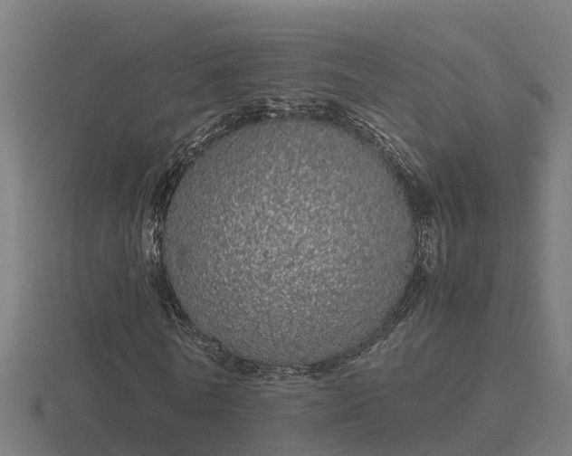 X0000116840770200912241228