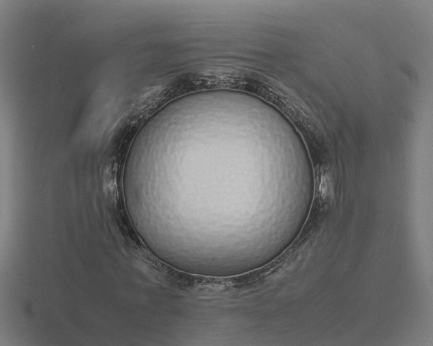 X0000116840771200912241228