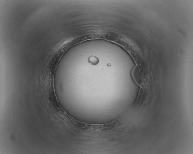 X0000116840773200912241228