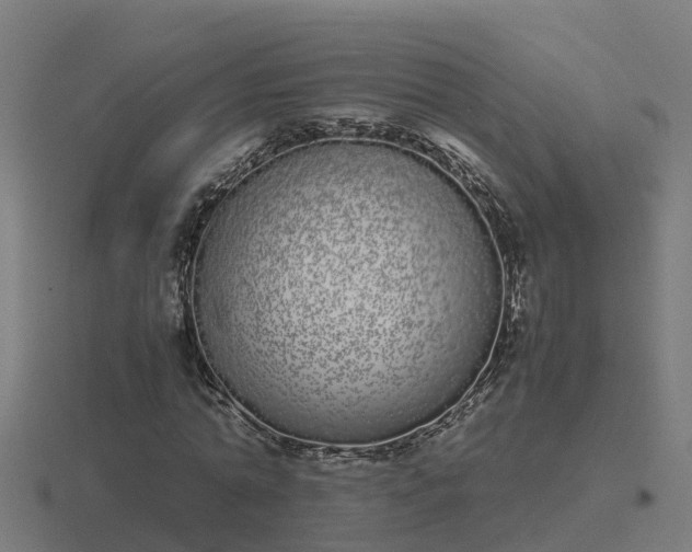 X0000116840774200912241228