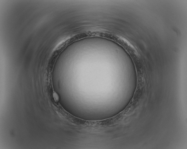 X0000116840775200912241228