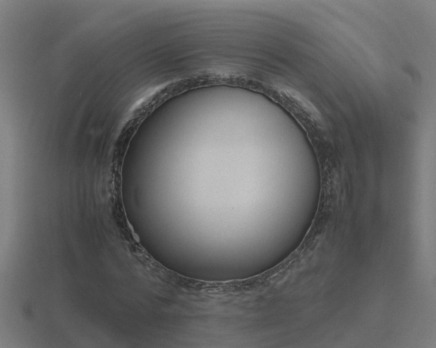 X0000116840776200912241228