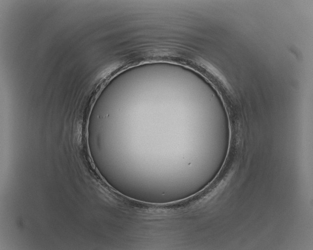 X0000116840777200912241228