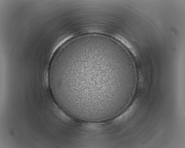 X0000116840782200912241227