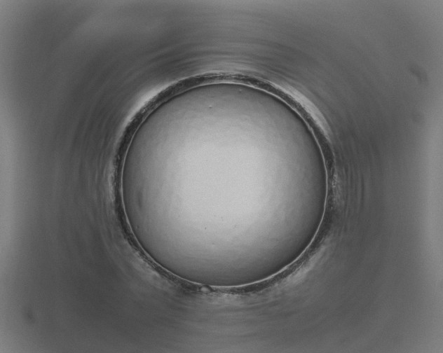 X0000116840783200912241227