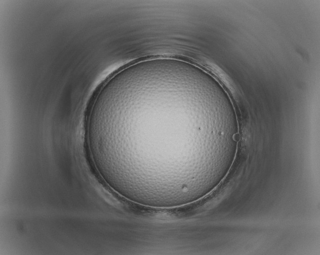 X0000116840787200912241227