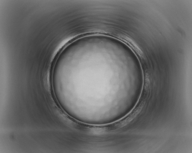 X0000116840788200912241227