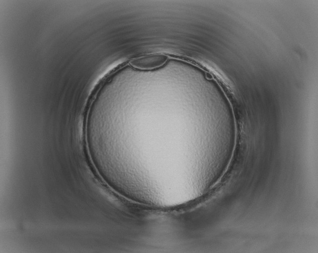 X0000116840790200912241227