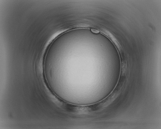 X0000116840795200912241227