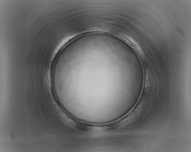 X0000116840796200912241227