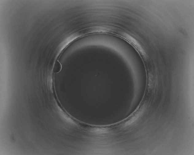 X0000116840802200912241227