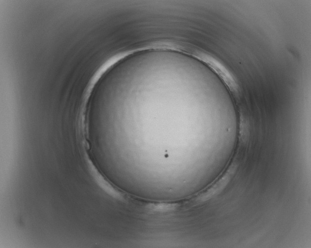 X0000116840808200912241227