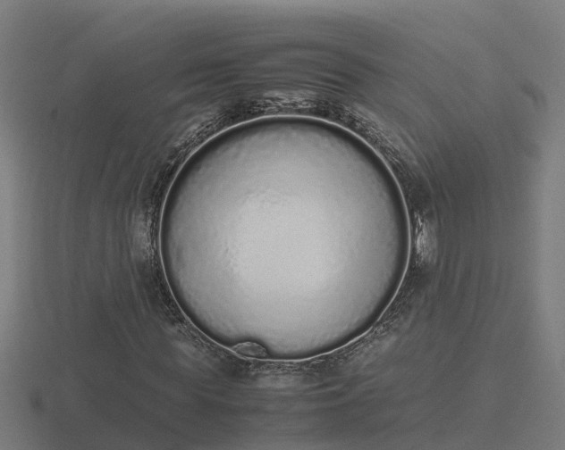 X0000116840819200912241226