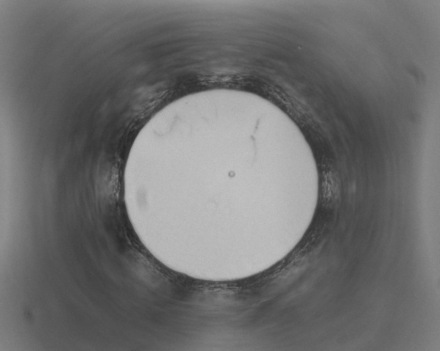 X0000116840820200912241226