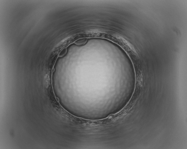 X0000116840821200912241226